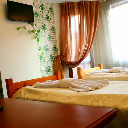 Ξενοδοχείο Family Hotel Lili 2*